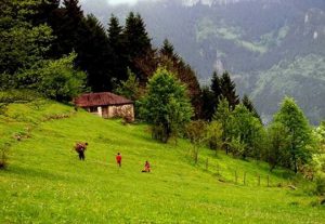 trabzonun yaylaları